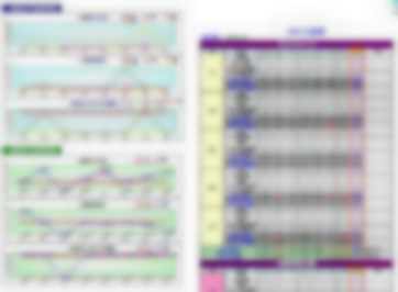 自動報表派送平台